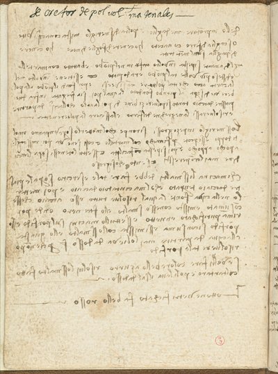 Bird Flight Code, Cover II by Leonardo da Vinci